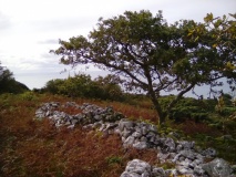 Muriau'r Gwyddelod Circular Enclosure