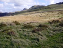 Hut Enclosure and Early Field System South of Mynydd Graigwen