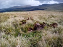 Y Foel Caerynwch Cairn