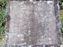 Carreg Coed Y Brenin
