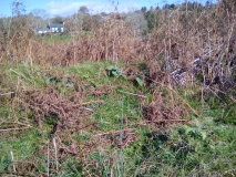 Garndolbenmaen Round Hut