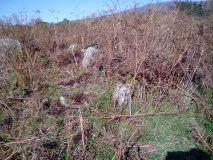 Garndolbenmaen Round Hut