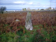 Cae Forgan Standing Stone
