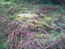 Cae Forgan Cairn
