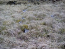 Afon Gam Round Cairn 2
