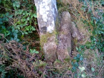 Standing Stone east of Moel Y Gest