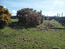 Llystyn Uchaf Hut Circle Settlement