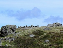 Bryn Cader Faner
