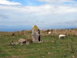 Waun Oer - PID:23154