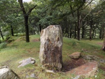 Parc Bach