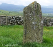 Moel Goedog 7