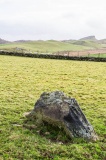 Meini Herion Stone - PID:206020 Meini Herion Stone - PID:206020