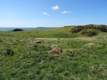 Merddyn Cil