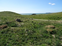 Merddyn Cil