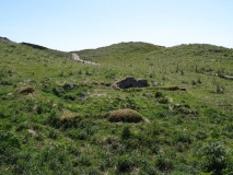 Merddyn Cil