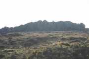 Mynydd y Graig - PID:45663