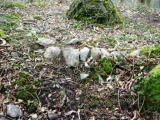 Pen Dinas Camp - PID:38467