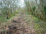 Pen Dinas Camp - PID:38469