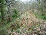 Pen Dinas Camp - PID:38465