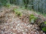 Pen Dinas Camp - PID:38470