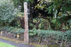 Trefllys