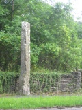 Trefllys