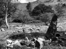 Coed Aber Roundhouse