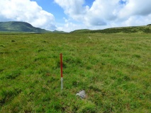 Rhos Hafotty Carneddau