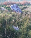 Maen Llwyd (Bronaber) - PID:298294