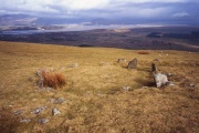 Moel Goedog W - PID:47623