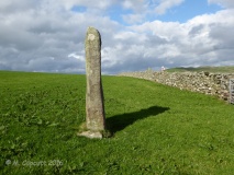 Moel Goedog 7