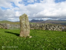 Moel Goedog 7
