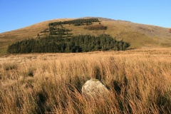 Pont Scethin A
