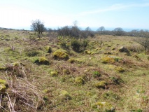 Cors-y-Gedol Settlement
