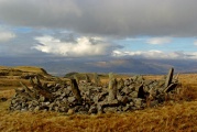 Bryn Cader Faner - PID:45521