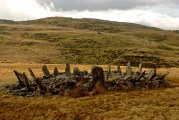 Bryn Cader Faner - PID:45884