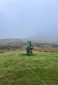 Planwydd Helyg Standing Stone - PID:283507