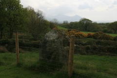 Penbryn Mawr Standing Stone