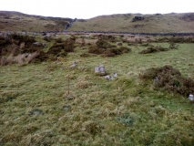 Settlement 500m SE of Moel Goedog