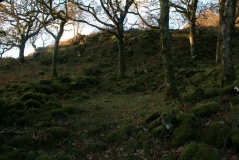 Garth Y Foel