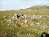 Cors-Y-Gedol E - PID:209249