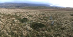 Llyn Eiddew Ring Cairn - PID:160534