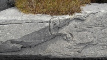 Llyn Du Carved stone - PID:163090