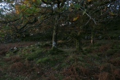 Garth Y Foel