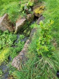 Ffynnon Engan