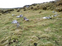 Hut Circle and Enclosure E of Erw Wen - PID:206718