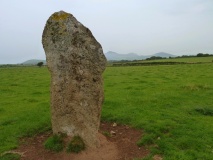 Tir-gwyn