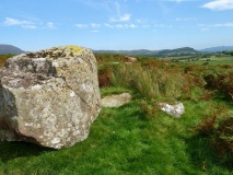 Bryniau'r Tyddyn