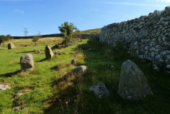 Wern-y-Pandy Settlement