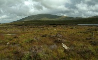 Click for full size image of Dyffryn Mymbyr (stone circle) (PID:143636) Dyffryn Mymbyr (stone circle)